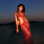 Plastic bottle dress