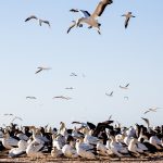CapeNature