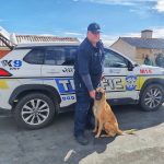 K9