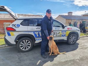 K9