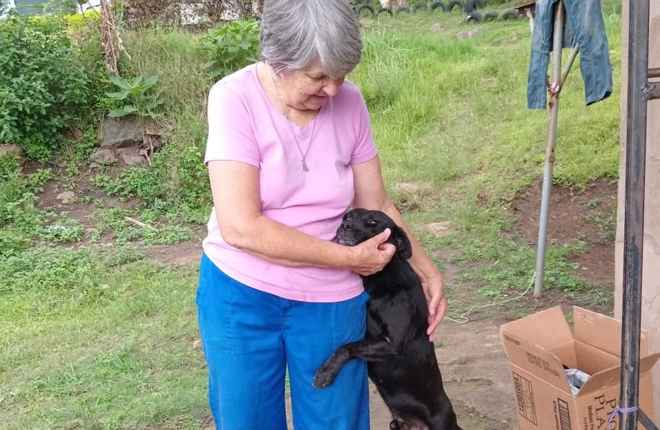 Scottburgh Animal Hero