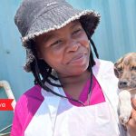 Dog Groomer Gave Shelter Dogs Pamper Sessions