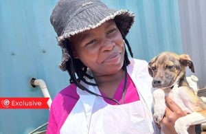 Dog Groomer Gave Shelter Dogs Pamper Sessions