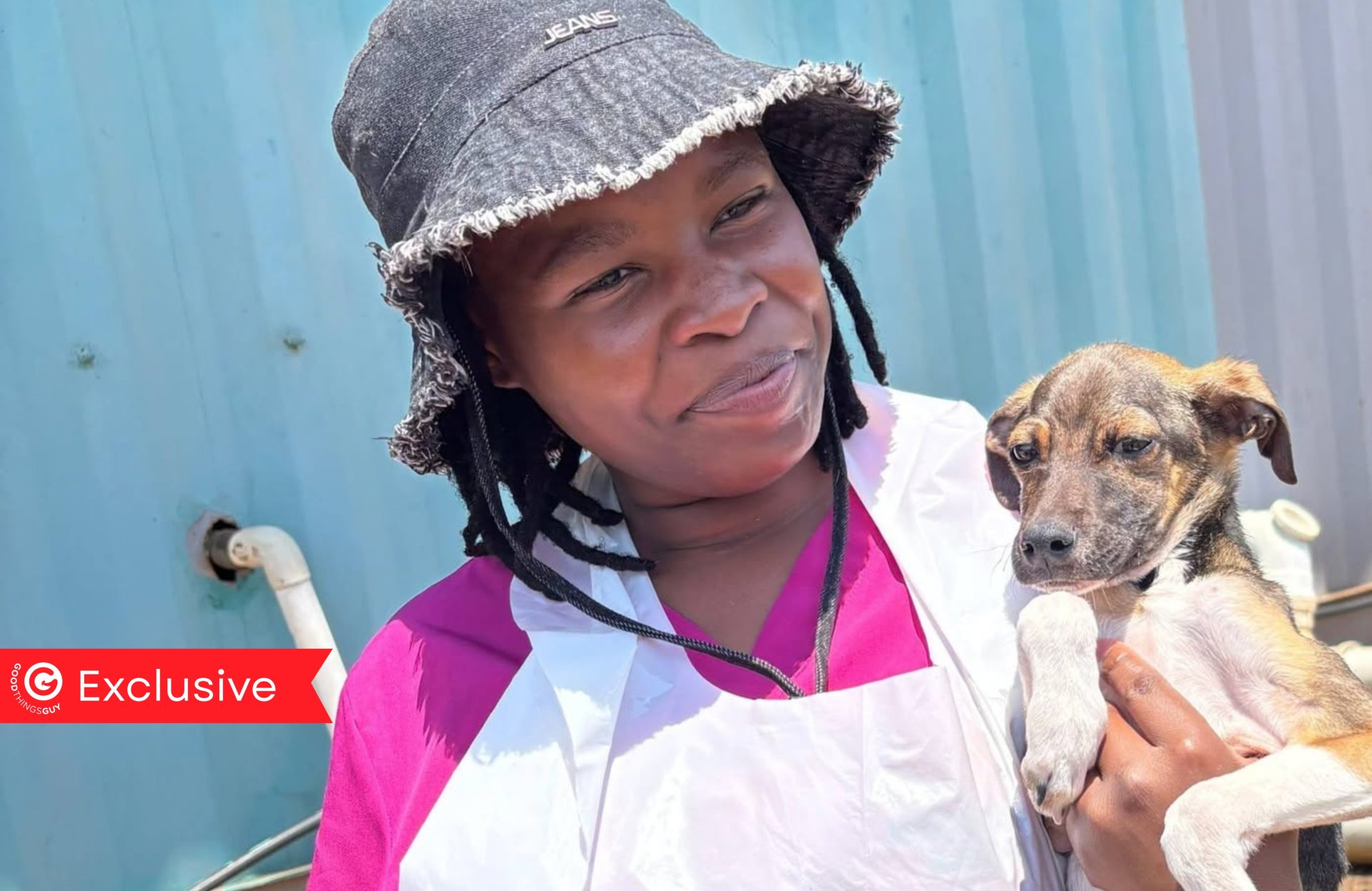 Dog Groomer Gave Shelter Dogs Pamper Sessions