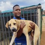Soshanguve Animal Shelter