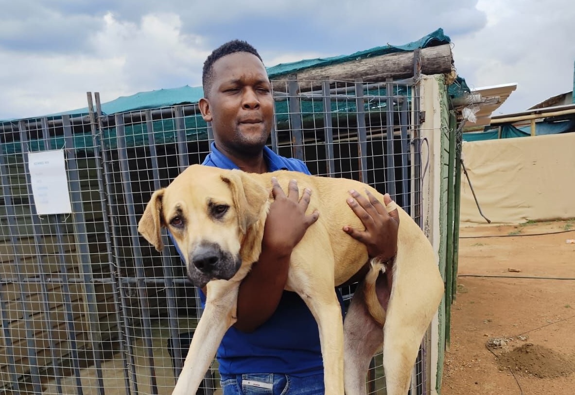 Soshanguve Animal Shelter