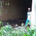 Tongaat River Valley