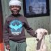 Animal welfare