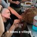 20 Tortoises