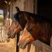 Heartland KZN