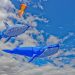 Cape Town International Kite Festival