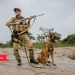 Wildlife Heroes