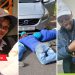 Good Things Wrap Up: South African Stories Worth Celebrating!