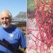 South African Seaweed